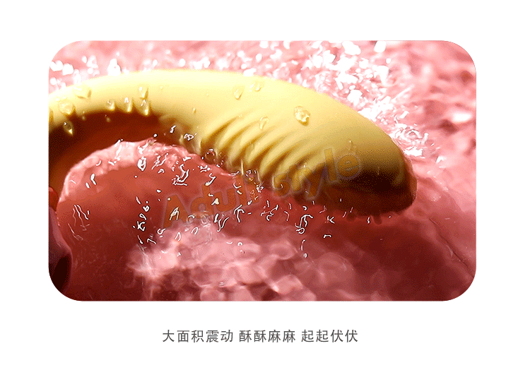 C大調戀曲 盡享震動器