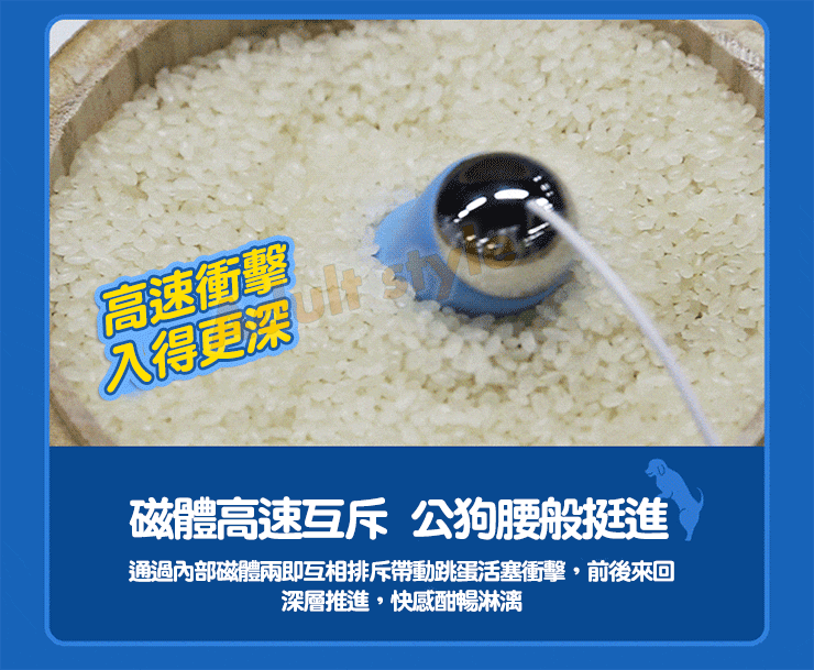 迅猛突擊 磁懸浮快感蛋(兔耳搭配)